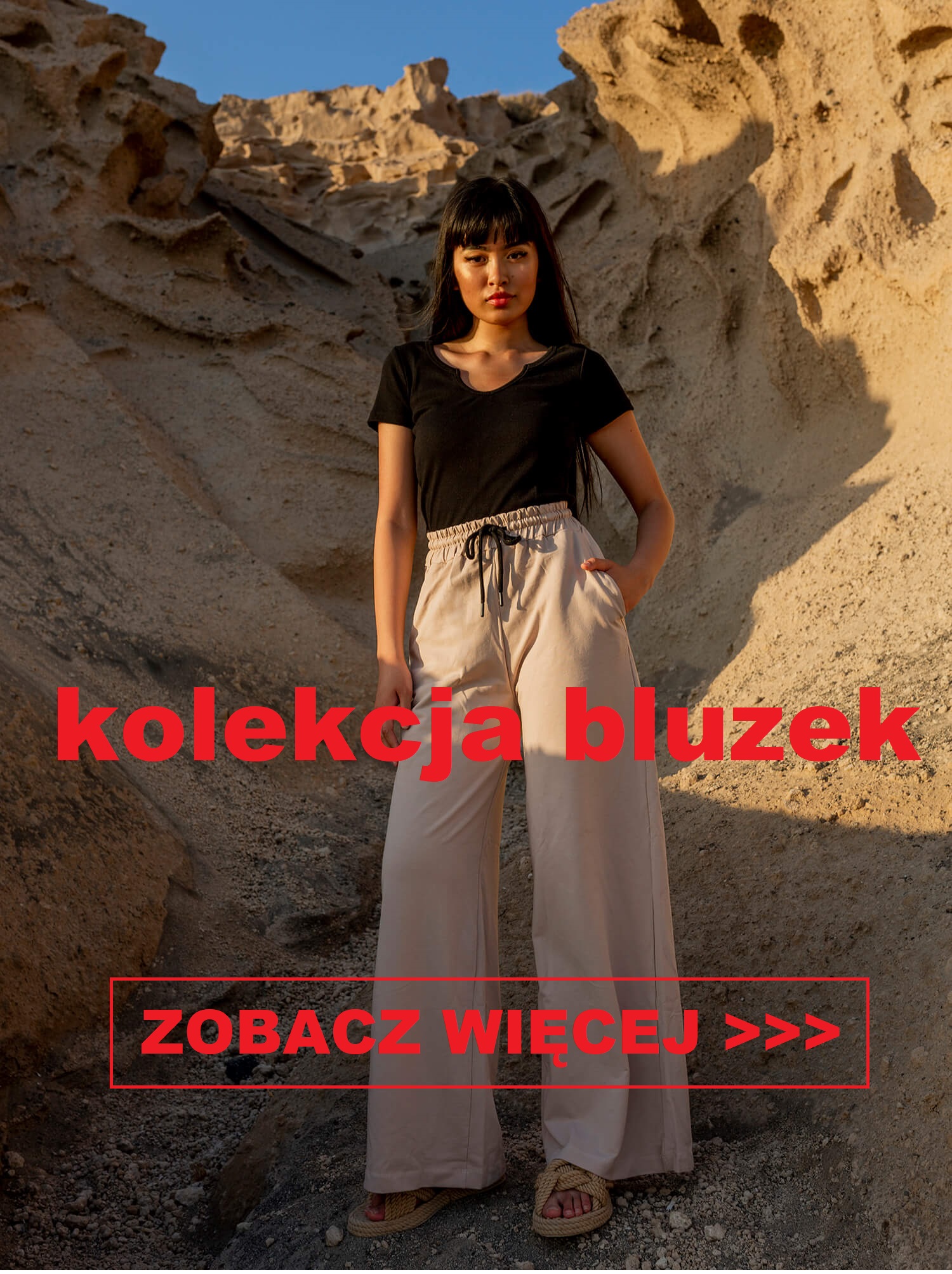 Kolekcja bluzek damskich