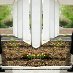 sukienki do połowy łydki